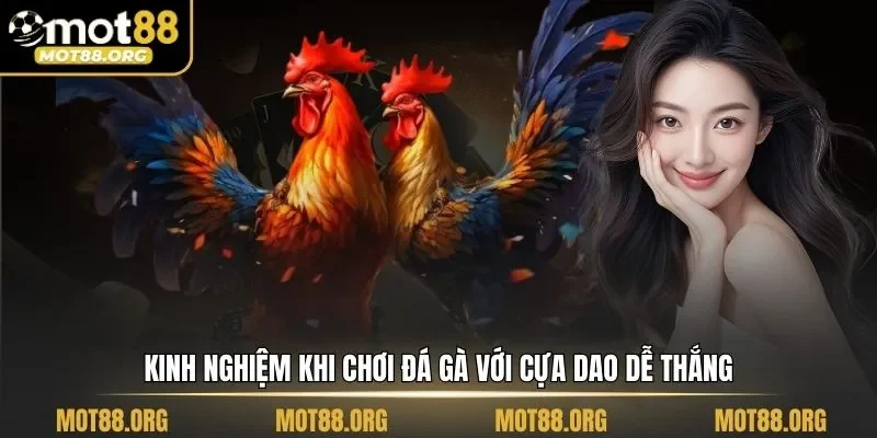 đá gà cựa dao